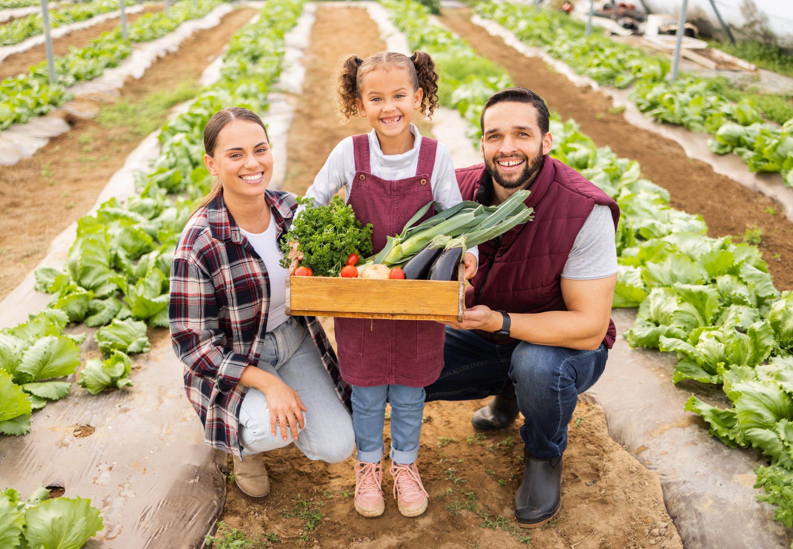 family agriculture box with vegetables farm harvest fresh product portrait happy with sustainable farming man woman girl outdoor farmer with healthy organic food nutrition scaled